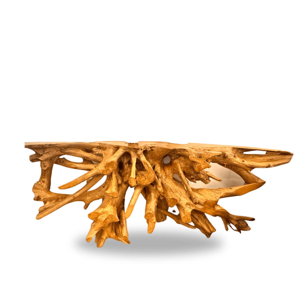 live root console